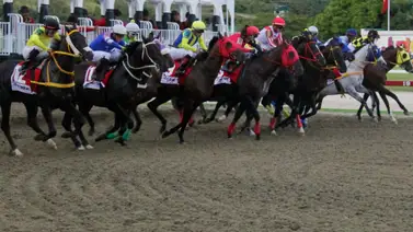 Al momento de sellar no olviden a esta yegua que se perfila como la principal cotizada para conquistar el 5y6 dominical con este ajuste Al momento de sellar no olviden a esta yegua que se perfila como la principal cotizada para conquistar el 5y6 dominical con este ajuste