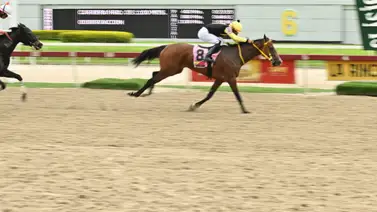 Con el ajuste de esta yegua podrá abonar un buen dividendo en una carrera pareja del 5y6 dominical Con el ajuste de esta yegua podrá abonar un buen dividendo en una carrera pareja del 5y6 dominical