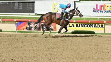 Potra logra uno de los mejores ajustes y está preparada para brillar en el Clásico Ana María Freudman (G3) Potra logra uno de los mejores ajustes y está preparada para brillar en el Clásico Ana María Freudman (G3)