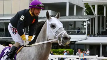 Agarren dato sobre las montas de Samy Camacho este fin de semana en Tampa Agarren dato sobre las montas de Samy Camacho este fin de semana en Tampa