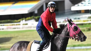 Johan Aranguren con sed de ganar par de carreras en La Rinconada (+Video) Johan Aranguren con sed de ganar par de carreras en La Rinconada (+Video)