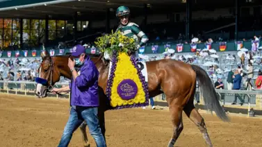 Póngale el ojo este sábado a hermana completa de yegua ganadora del premio Eclipse que costó $475.000 Póngale el ojo este sábado a hermana completa de yegua ganadora del premio Eclipse que costó $475.000