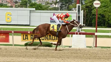 Conoce las razones del retiro de Snujake que era un gran aspirante para el Clásico Mauricio Azar (G3) Conoce las razones del retiro de Snujake que era un gran aspirante para el Clásico Mauricio Azar (G3)