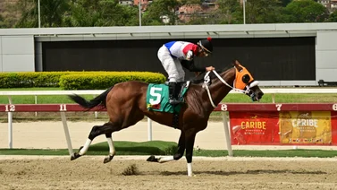Aquí la observamos en plena carrera en el óvalo caraqueño.