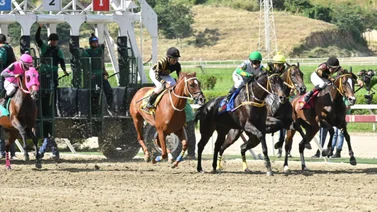  Conoce a esta hora los caballos con más fuerza en el hipódromo La Rinconada 