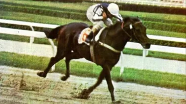 Descubre qué ejemplar ganó el primer Clásico Simón Bolívar exclusivo para caballos venezolanos