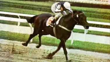 Descubre qué ejemplar ganó el primer Clásico Simón Bolívar exclusivo para caballos venezolanos Descubre qué ejemplar ganó el primer Clásico Simón Bolívar exclusivo para caballos venezolanos