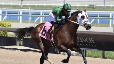 Yunta criolla abre la tanda del viernes en Gulfstream Park con buen dividendo Yunta criolla abre la tanda del viernes en Gulfstream Park con buen dividendo