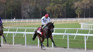 Irad Ortiz Jr con Owen Almighty aplastó a sus rivales en el Tampa Bay Derby Irad Ortiz Jr con Owen Almighty aplastó a sus rivales en el Tampa Bay Derby
