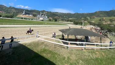 El dato más sonado a última hora en La Rinconada corre en la tercera válida y no es Take A Step El dato más sonado a última hora en La Rinconada corre en la tercera válida y no es Take A Step