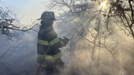 Incendios forestales en Long Island: Emergencia y evacuaciones 
