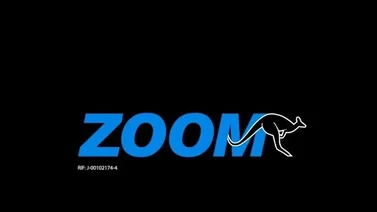 Guía para calcular el precio de envío de un paquete en Venezuela con Zoom
