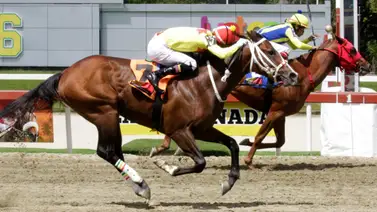 Así quedaron los resultados de las carreras en La Rinconada 09-3-2025 Así quedaron los resultados de las carreras en La Rinconada 09-3-2025