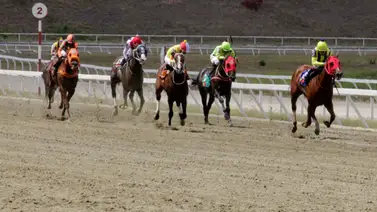 Estos son los dividendos que paga el 5y6 nacional en la reunión 08 en La Rinconada Estos son los dividendos que paga el 5y6 nacional en la reunión 08 en La Rinconada