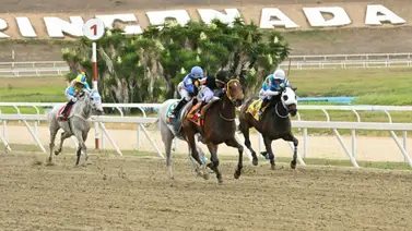 Sanciones impuestas a tres jinetes por diversas razones tras la celebración de la reunión 8 Sanciones impuestas a tres jinetes por diversas razones tras la celebración de la reunión 8