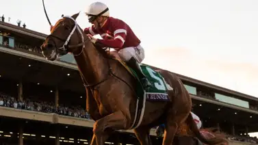 Thorpedo Anna caballo del año 2024 reapareció a lo grande Thorpedo Anna caballo del año 2024 reapareció a lo grande