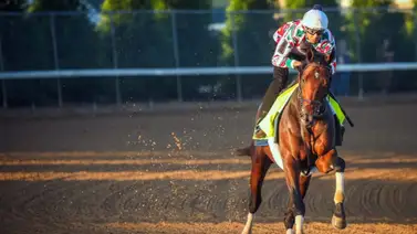 Sierra Leone ya tiene fecha de Debut en el 2025 y será en este Stakes Sierra Leone ya tiene fecha de Debut en el 2025 y será en este Stakes