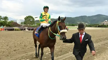 Informe de José Gilberto Hernández a los comisarios respecto a la yegua Emma Princess Informe de José Gilberto Hernández a los comisarios respecto a la yegua Emma Princess