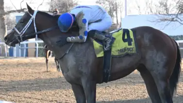 Soontobeking sorprendió al gran favorito Mo Plex en los $125.000 del Gander Stakes Soontobeking sorprendió al gran favorito Mo Plex en los $125.000 del Gander Stakes