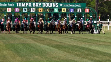 Exgrandeliga venezolano vuelve a ganar una carrera en Tampa Bay Downs como propietario