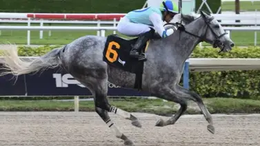 Ismeiro Villalobos logró este domingo Back to Back en este hipódromo Ismeiro Villalobos logró este domingo Back to Back en este hipódromo