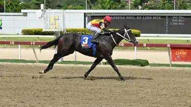 Fast Sensations por la gloria en el Clásico “Eduardo Larrazabal” (GIII) Fast Sensations por la gloria en el Clásico “Eduardo Larrazabal” (GIII)