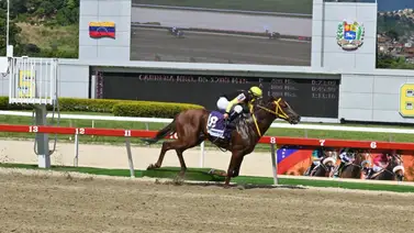 Compadre Peche a marcar parciales en el Clásico “Socopó” (GIII) en La Rinconada Compadre Peche a marcar parciales en el Clásico “Socopó” (GIII) en La Rinconada