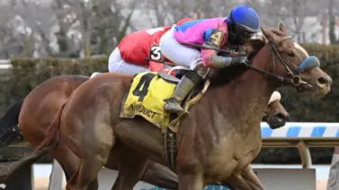 Bernieandtherose sin enemigas en Nueva York y mantuvo racha de cuatro victorias Bernieandtherose sin enemigas en Nueva York y mantuvo racha de cuatro victorias