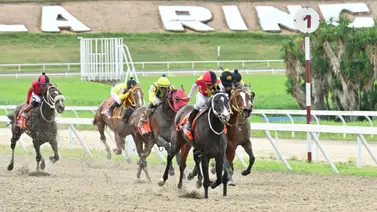 La Esperada Vuelta: Una de las fijas del ciclo no válido regresa a La Rinconada Tras 119 Días La Esperada Vuelta: Una de las fijas del ciclo no válido regresa a La Rinconada Tras 119 Días