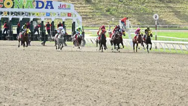 Un ganador de importante selectiva se prepara para reaparecer tras 203 días sin Competir Un ganador de importante selectiva se prepara para reaparecer tras 203 días sin Competir