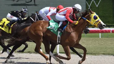 José Garoffalo presentó al mayor dividendo de la tarde dominical en Gulfstream Park José Garoffalo presentó al mayor dividendo de la tarde dominical en Gulfstream Park