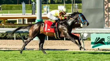 Flavien Prat sumó $450,000 para sus conexiones tras ganar tres stakes Flavien Prat sumó $450,000 para sus conexiones tras ganar tres stakes