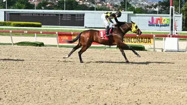 Reaparece hijo de doble coronado luego de un parón de 112 días con entrenador nuevo Reaparece hijo de doble coronado luego de un parón de 112 días con entrenador nuevo