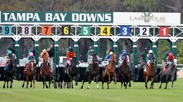 Aquí el Best Best y los Picks para la jornada en Tampa Bay Downs 12-3-2025 Aquí el Best Best y los Picks para la jornada en Tampa Bay Downs 12-3-2025