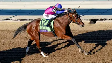 Hija de Justify que fue Premio Eclipse como mejor dosañera reaparece este jueves en Gulfstream Park Hija de Justify que fue Premio Eclipse como mejor dosañera reaparece este jueves en Gulfstream Park