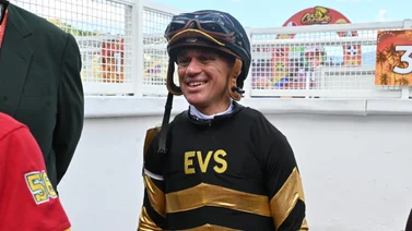 Javier Castellano rumbo a otro año con más de 1 millón de dólares en ganancias
