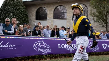 Junior Alvarado por más Stakes a su cuenta este fin de semana en Gulfstream Park