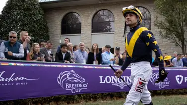 Junior Alvarado por más Stakes a su cuenta este fin de semana en Gulfstream Park Junior Alvarado por más Stakes a su cuenta este fin de semana en Gulfstream Park