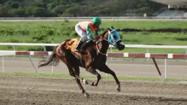 Jinete venezolano mete batacazo de $32 en este hipódromo Jinete venezolano mete batacazo de $32 en este hipódromo