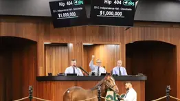 Semental en su primer año ya tiene un potro vendido en 1 millón de dólares 