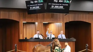 Semental en su primer año ya tiene un potro vendido en 1 millón de dólares Semental en su primer año ya tiene un potro vendido en 1 millón de dólares