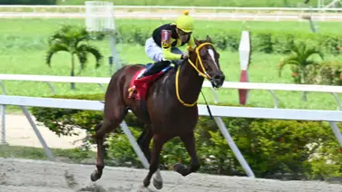 Aquí lo observamos en plena carrera en el óvalo caraqueño. Aquí lo observamos en plena carrera en el óvalo caraqueño.