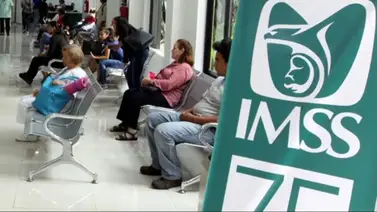 seguro voluntario del IMSS seguro voluntario del IMSS