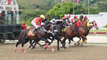 La gran opción de Gaceta Hípica reveló su ajuste para una apuesta ganadora en el 5y6 dominical La gran opción de Gaceta Hípica reveló su ajuste para una apuesta ganadora en el 5y6 dominical