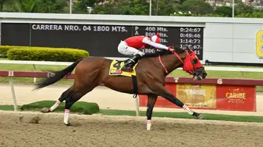 Aquí lo observamos en plena carrera en el óvalo caraqueño. Aquí lo observamos en plena carrera en el óvalo caraqueño.