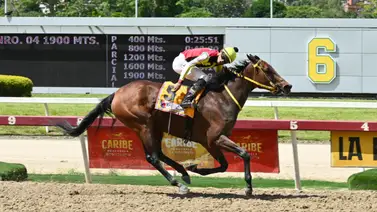 No te pierdas de esta yegua que logró uno de los mejores ajustes y se perfila como una posible sorpresa para el Clásico Gustavo J. Sanabria No te pierdas de esta yegua que logró uno de los mejores ajustes y se perfila como una posible sorpresa para el Clásico Gustavo J. Sanabria
