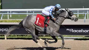 José “Kikito” D’Angelo logró back to back en la jornada mercuriana José “Kikito” D’Angelo logró back to back en la jornada mercuriana