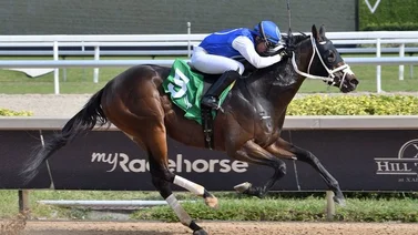 Junior Alvarado le da victoria a este entrenador criollo en Gulfstream Park
