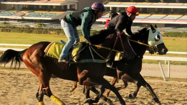 Con un ajuste contenido esta yegua se encuentra lista para brillar en el Clásico Gustavo J. Sanabria Con un ajuste contenido esta yegua se encuentra lista para brillar en el Clásico Gustavo J. Sanabria