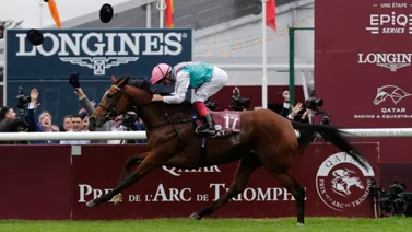 Jinete que fue considerado el mejor jockey del mundo se declara en bancarrota